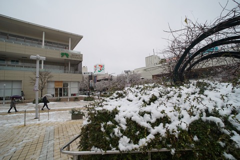 DSC06528s