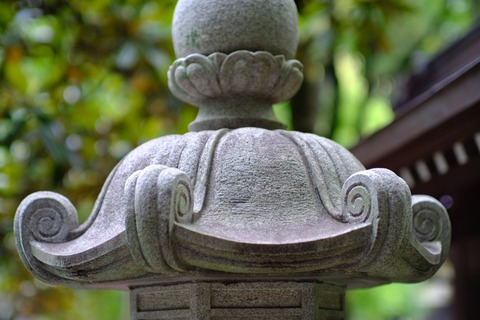 s_DSCF3303