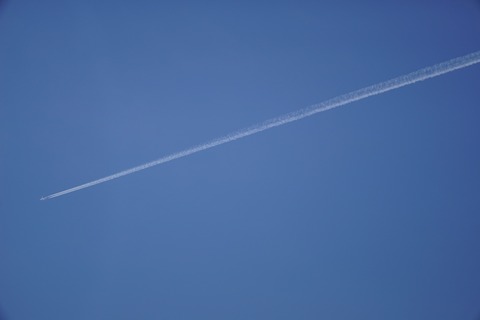 DSC06765xs