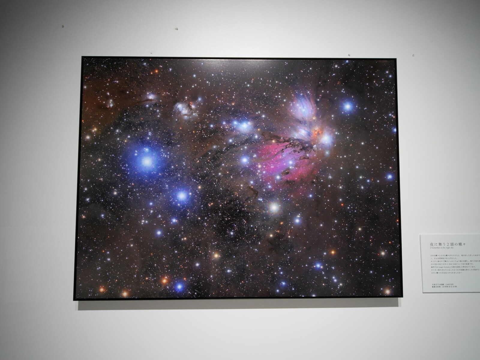 丹羽和子、 時空風景 、希少な額装用画集より、状態良好、新品額装付  