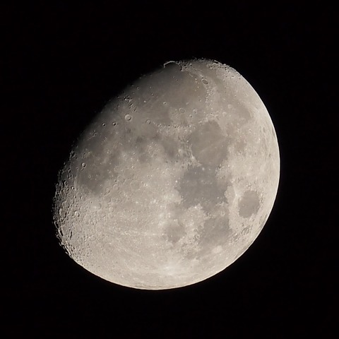 P9090459xst1