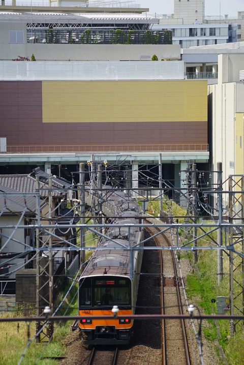 DSC06747s
