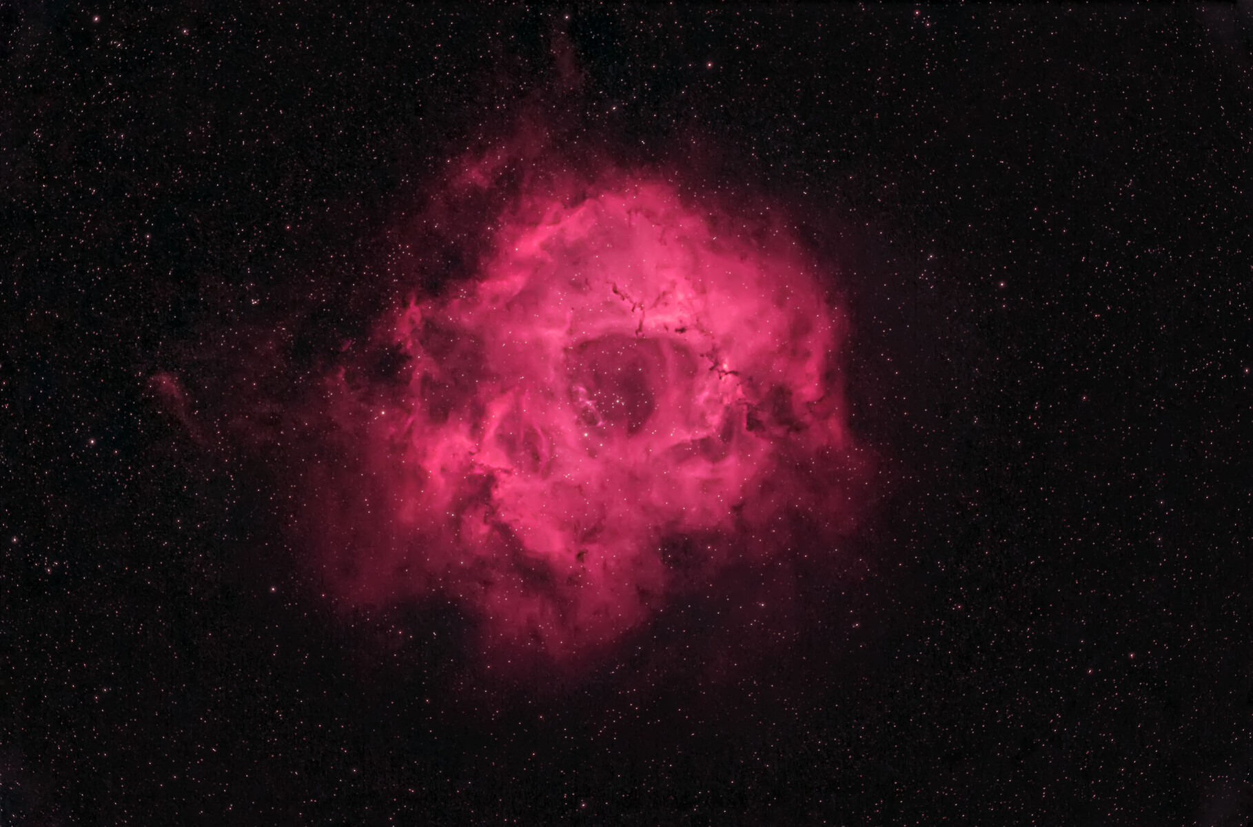 投稿:DBPフィルター×江戸川区によるバラ星雲とカリフォルニア 投稿:DBPフィルター×江戸川区によるバラ星雲とカリフォルニア