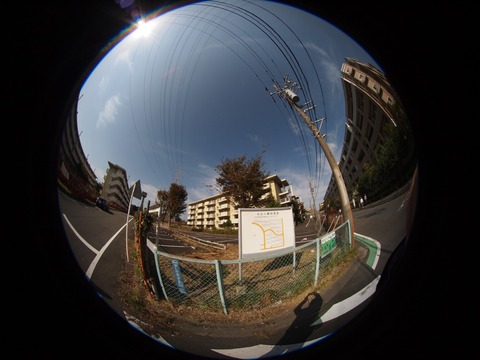 PB020978s