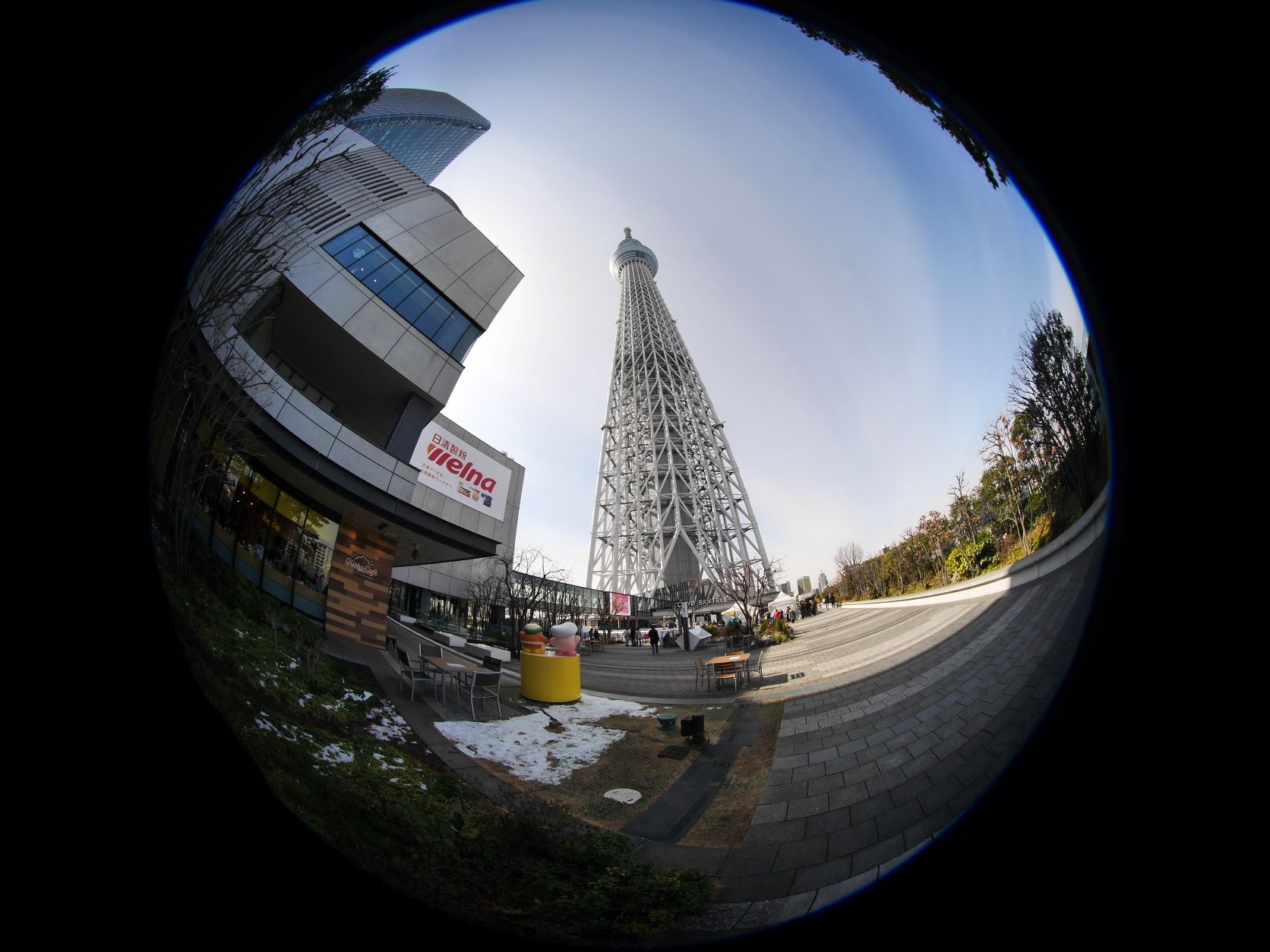 魚眼レンズで撮る東京スカイツリー 22 02 14 中川光学研究室ブログ