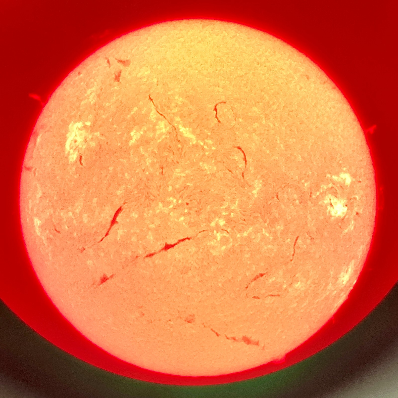 【優形株@7750】スターファイヤー 大阪ショールーム便り65：太陽望遠鏡特集～HELIOSTAR 76Ha紹介編 2025