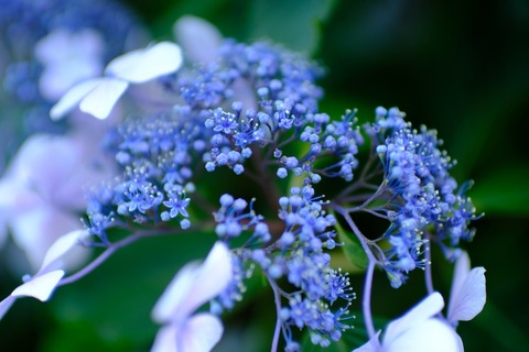 s_DSCF3418