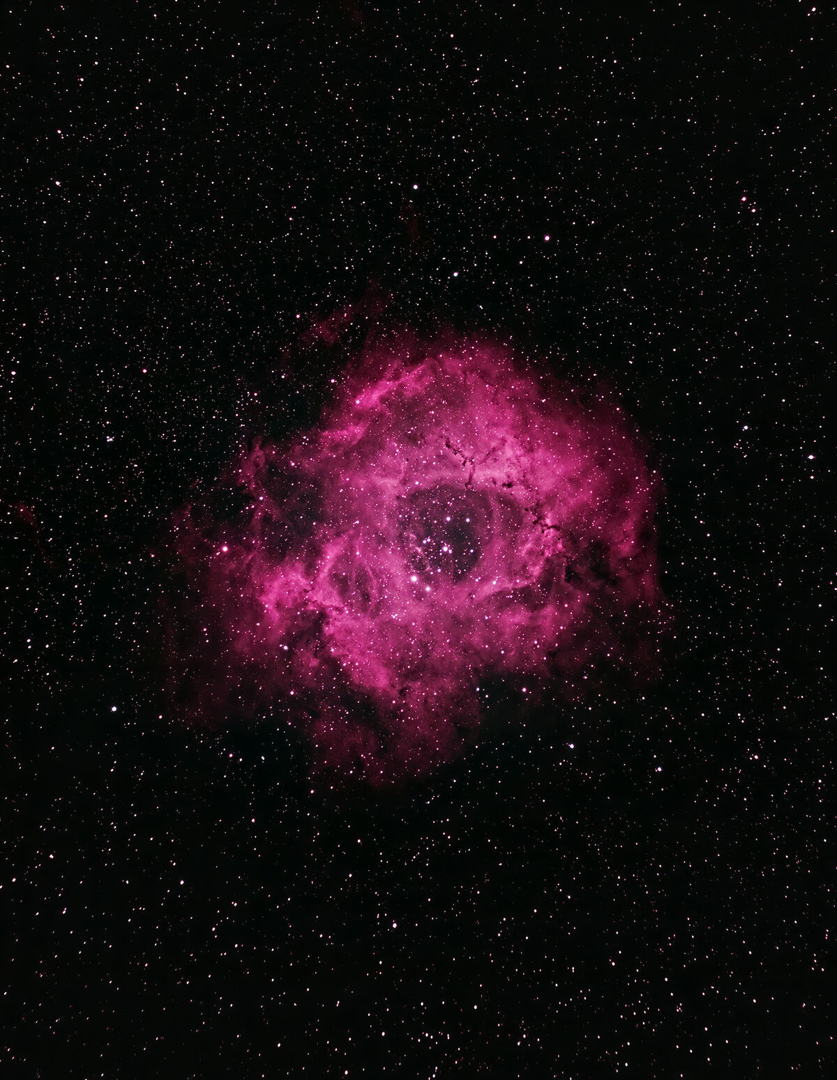 BORG100EDによるバラ星雲（東京） 2019/12/08 : 中川光学研究室ブログ