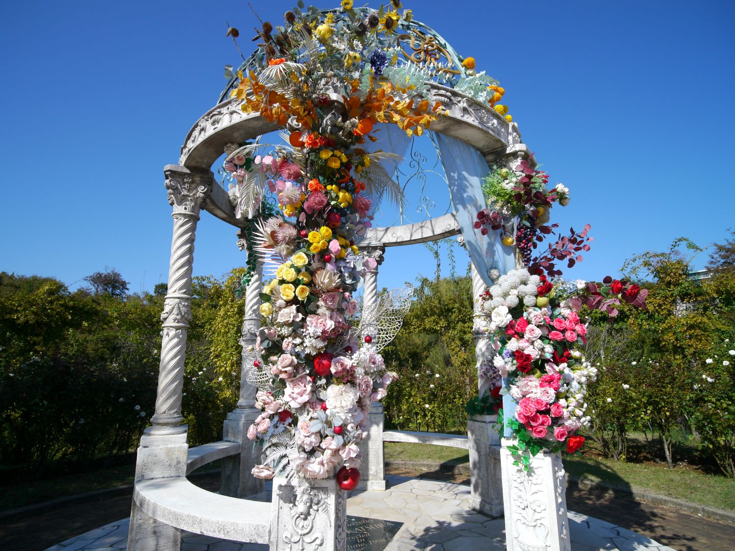 千葉・京成バラ園さんぽ 2023/10/29 : 中川光学研究室ブログ