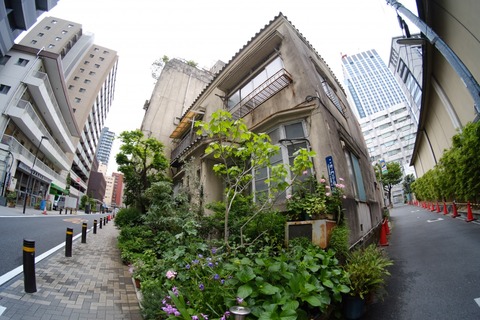 s_DSCF2491