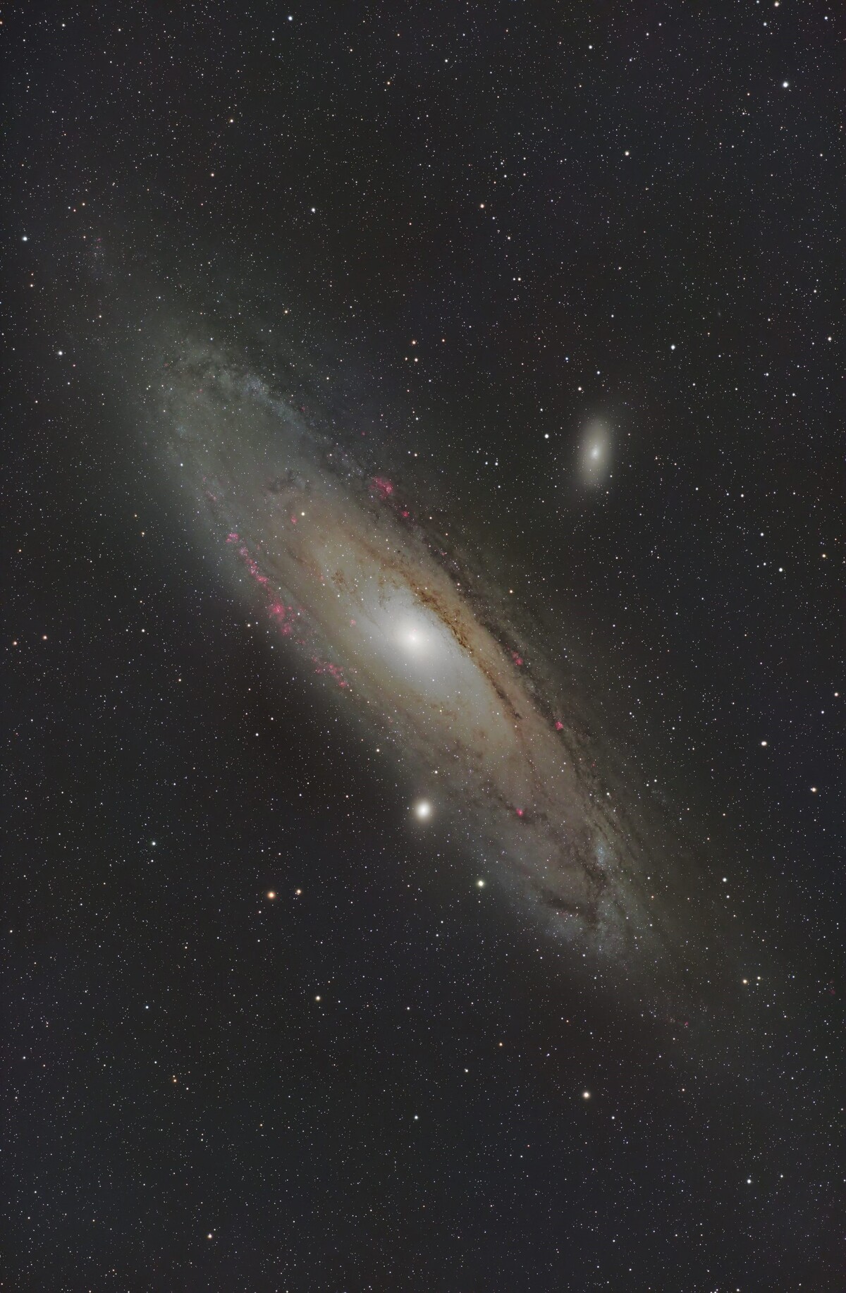 投稿：酷暑の新宿の空からM31・コクーン星雲・太陽面 2024/09/09