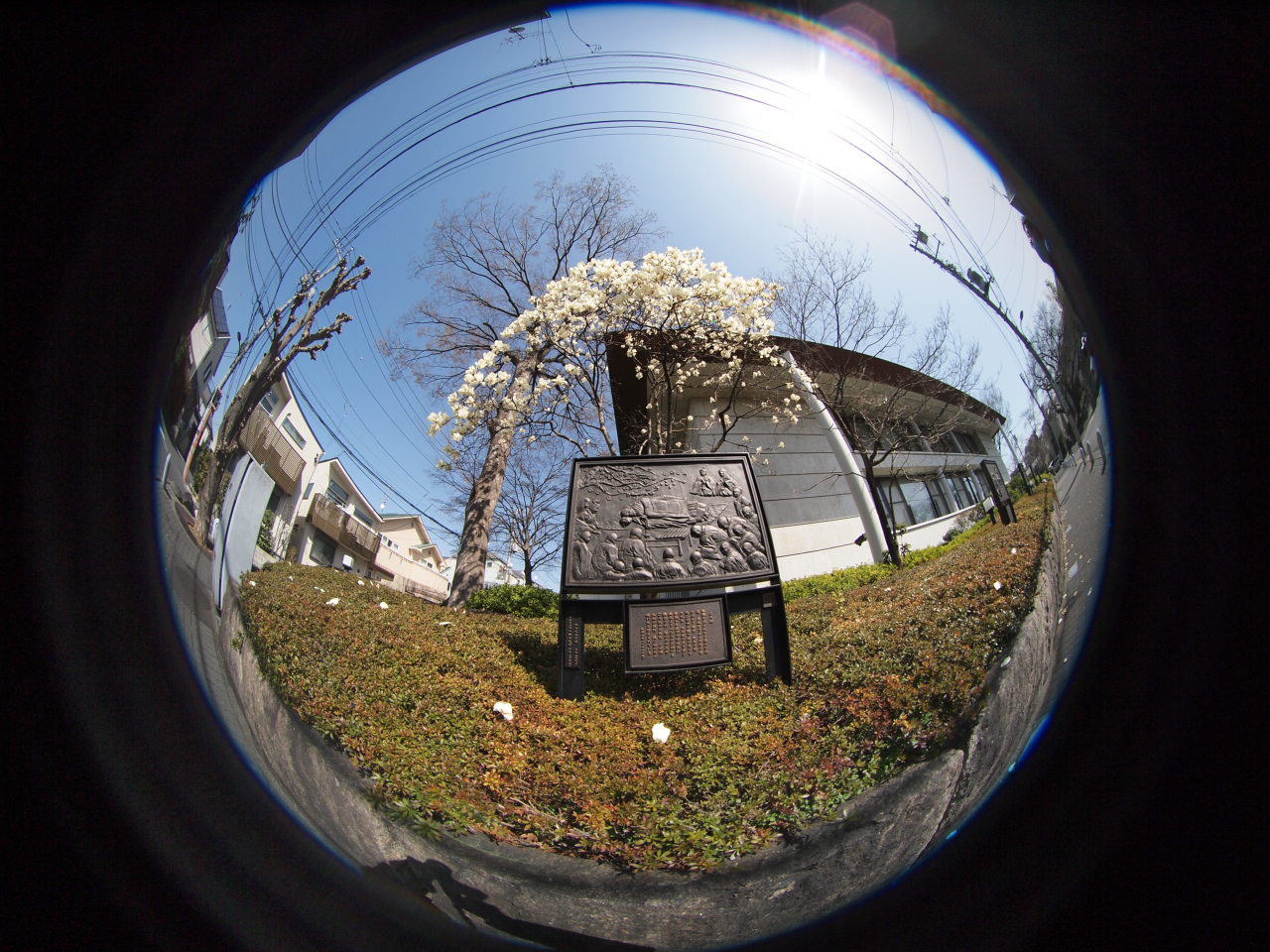 円周魚眼レンズlaowa4mmf2 8にハマった男 21 04 12 中川光学研究室ブログ