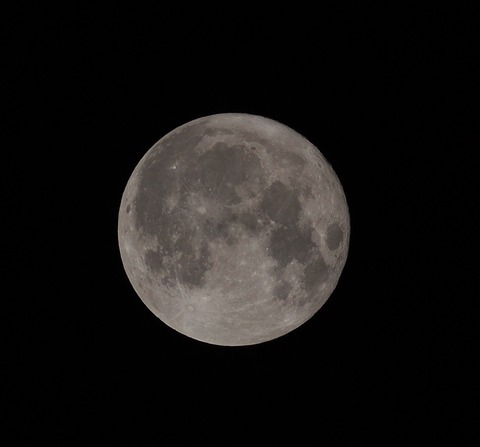 P9150681xst1