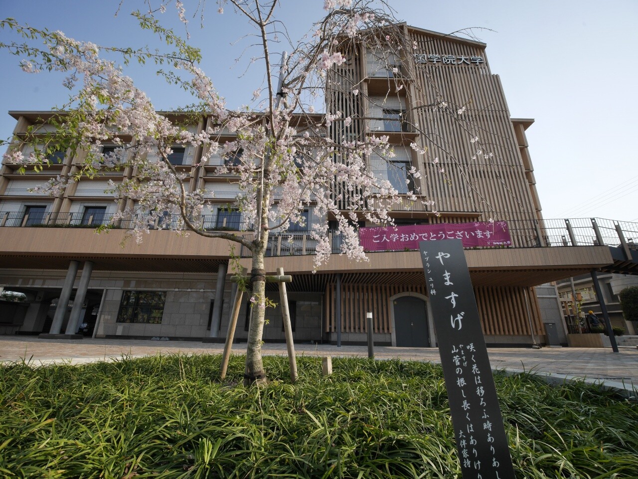 國學院大學付近 04 14 中川光学研究室ブログ 國學院大學付近 04 14 中川光学研究室ブログ
