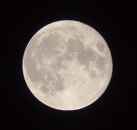 P7170127xst1