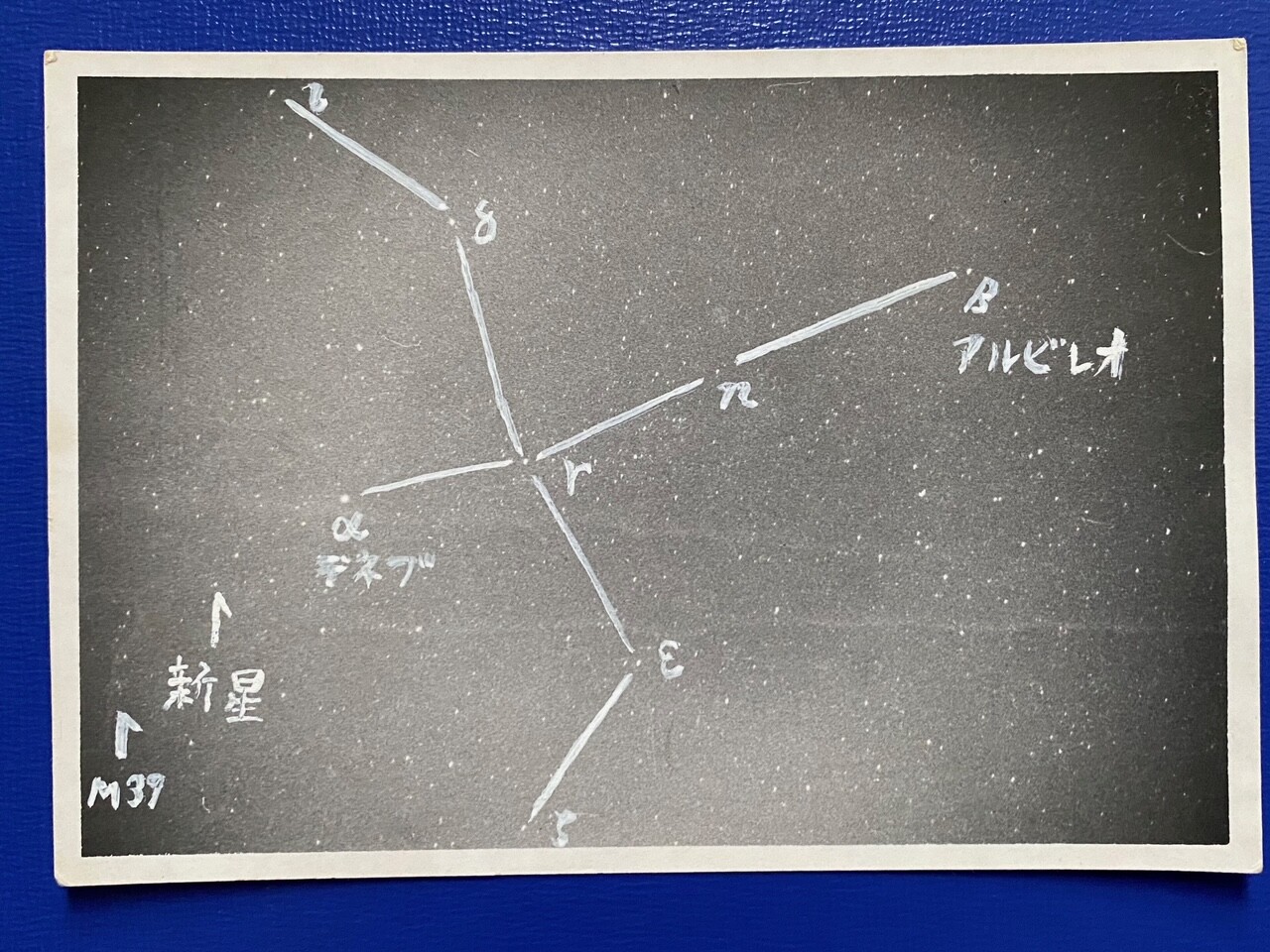 星空　希少　親株 186247737.jpg?cmsp_timestamp=