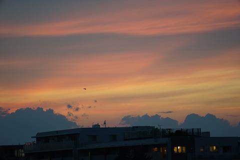 DSC07220xs