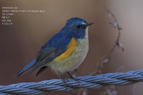 トーリク V-OPT 107 ② Tsukuba Super Lap 2003 Dorikin's My Way Driving