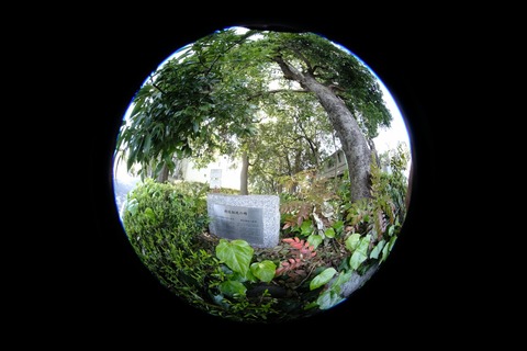DSCF3480s