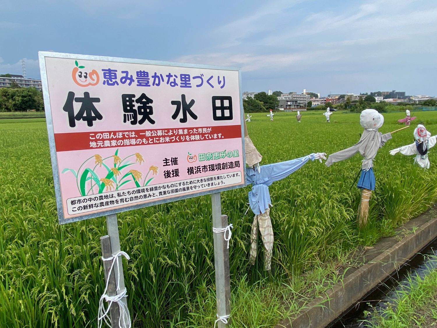 Askar FMA135による田奈の案山子たち【追々記】2025/08/22 : 中川光学