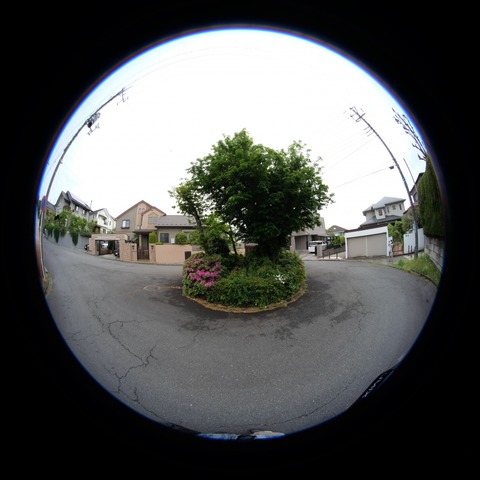 DSCF5245s