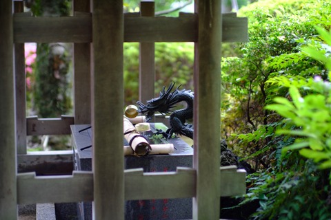 s_DSCF3300