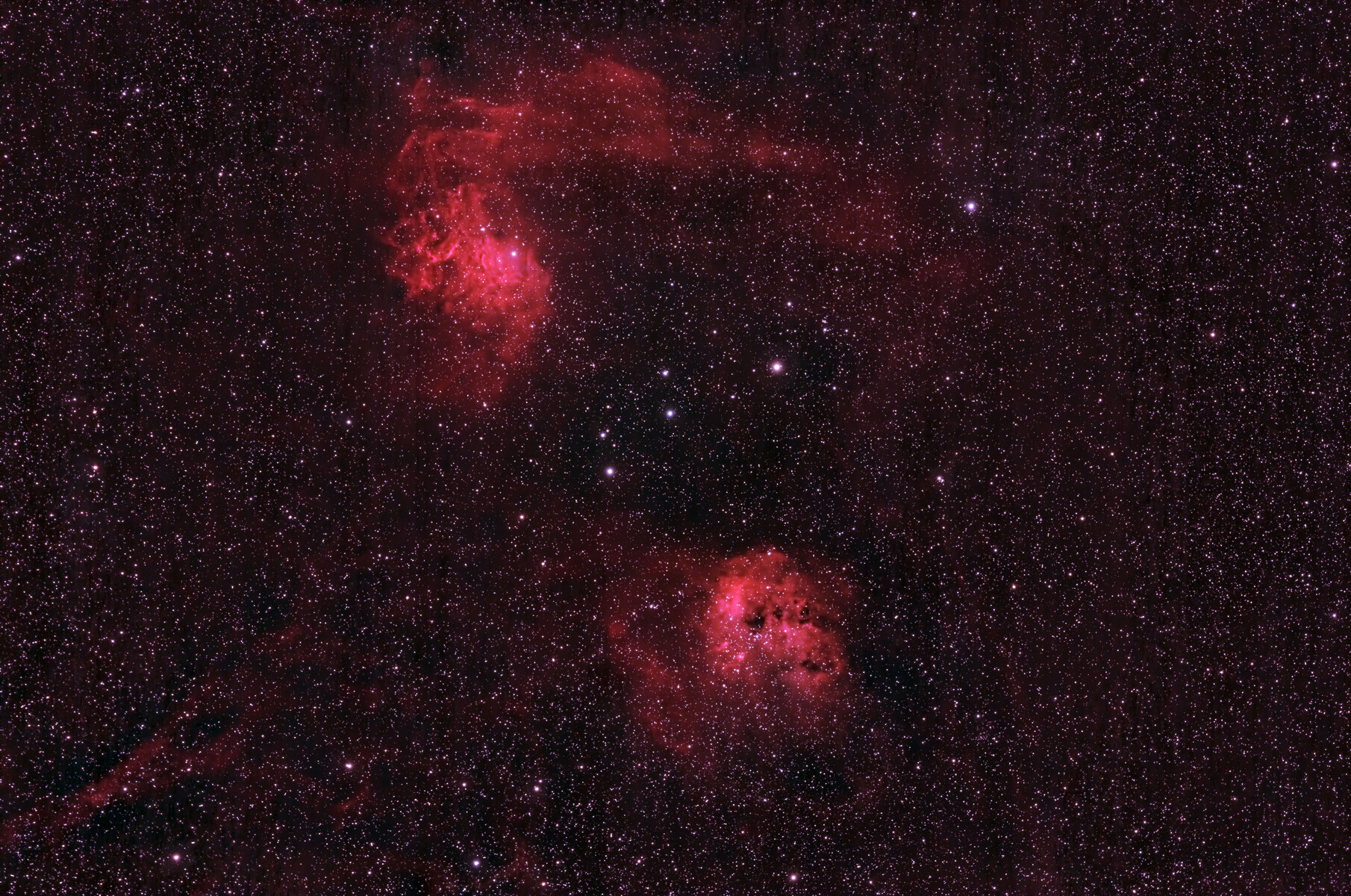 お気に入り 投稿：SHARP STAR61EDPHIIによるカリフォルニア星雲と勾玉星雲 特撮