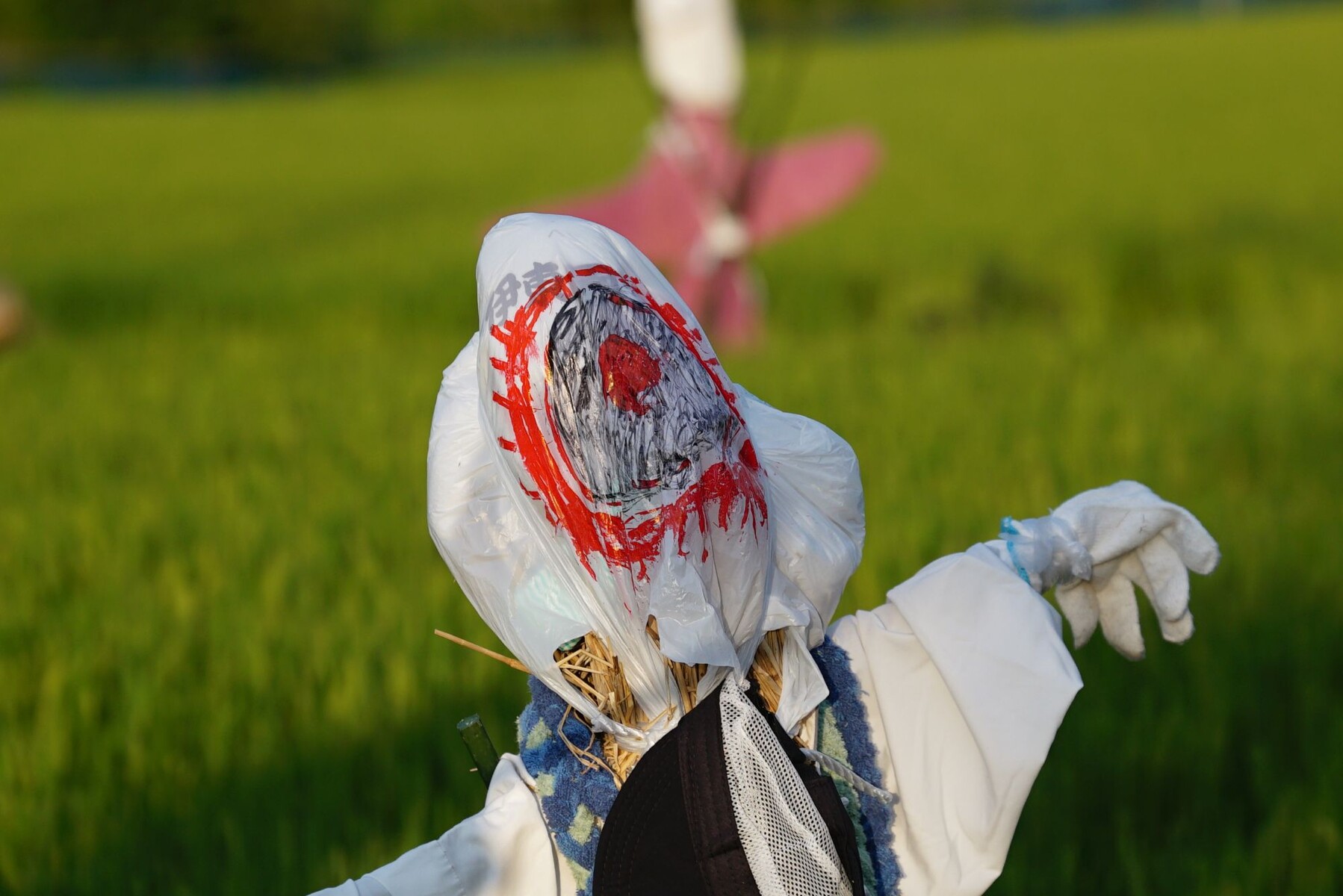 Askar FMA135による田奈の案山子たち【追々記】2025/08/22 : 中川光学