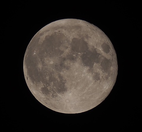 P7170142xst1