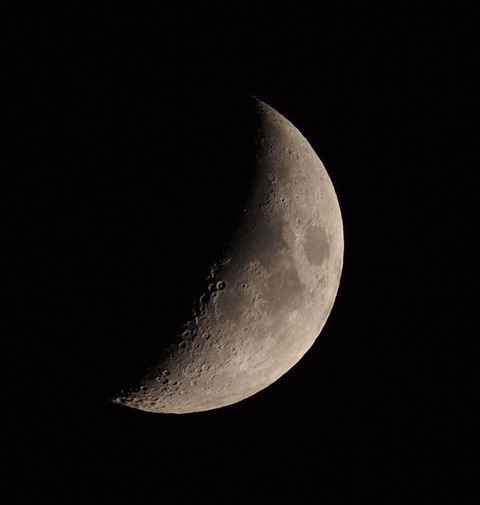 P8060118xst1