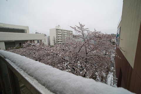 DSC06573s