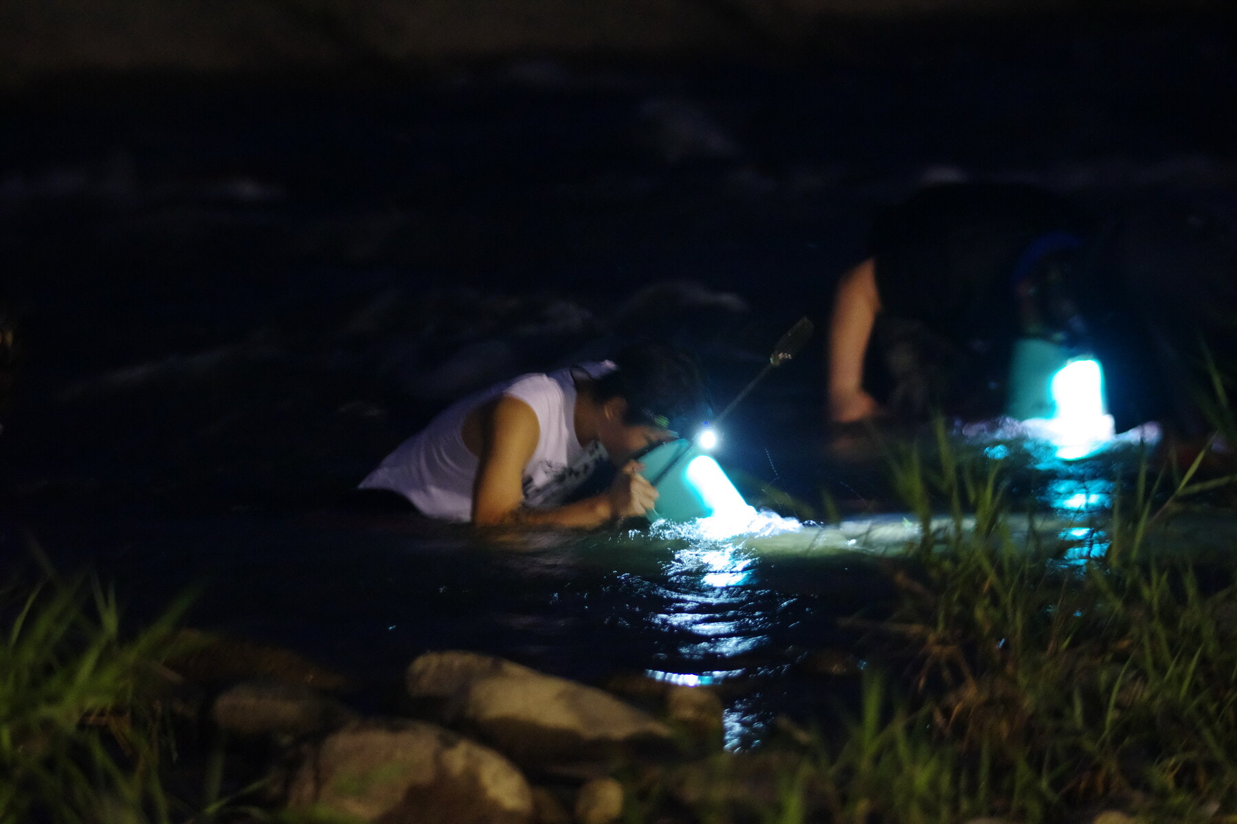 投稿：BORG76EDによるカジカの夜突き 2022/08/18 : 中川光学研究室ブログ