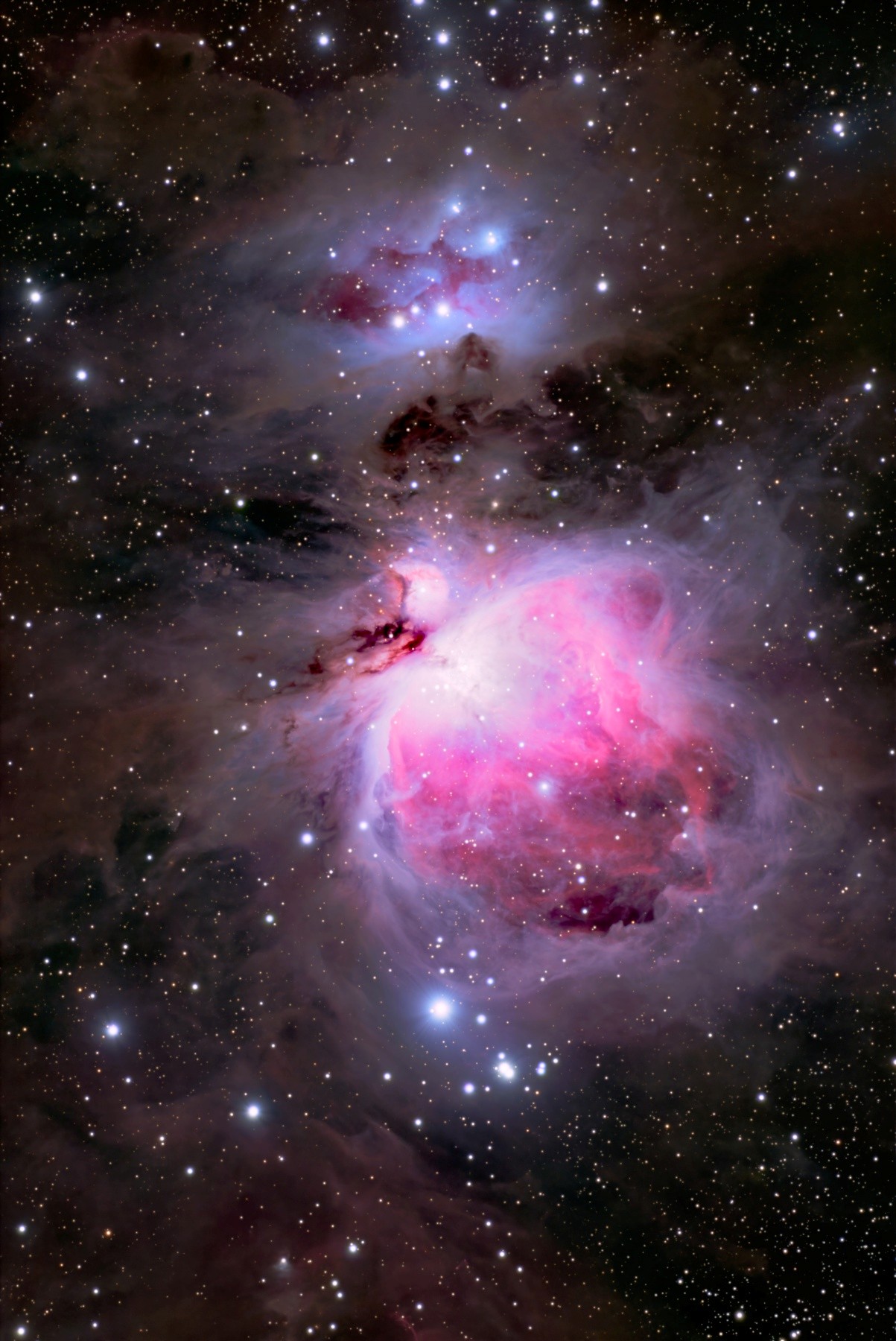 投稿：BORG107FLによるM42オリオン大星雲【追記】2026/01/09 : 中川