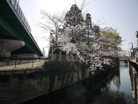 f5ed0b0b-s.jpg f5ed0b0b-s.jpg