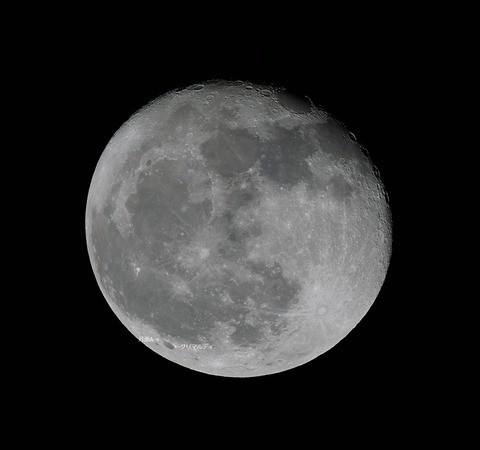 P1030975xxst1A