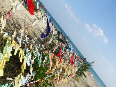 辺野古の海