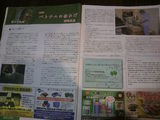 赤ひげ先生の連載記事