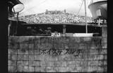 ポイステスルナ