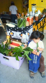 200906071241000