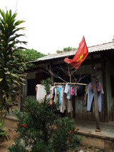 �ᥳ����ĥ���ƻ��