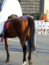 馬