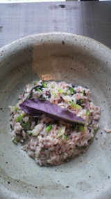 ¥´¡¼¥ä¡¼¤È¥Ï¥ó¥À¥Þ¡¼¤Î²Æì¥ê¥¾¥Ã¥È