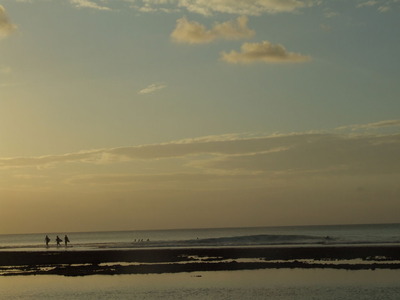 DSCF5484