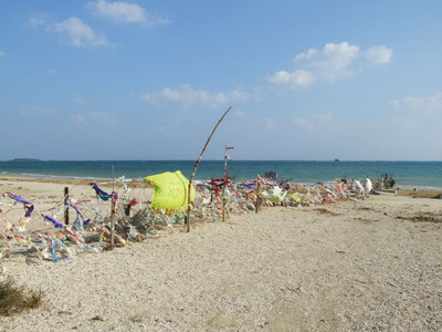 辺野古の海