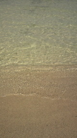 沖縄の海