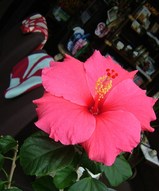 ������������