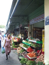 ������Ư���Ԥ�