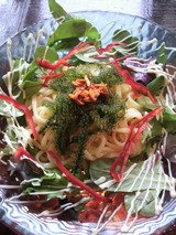 ���������