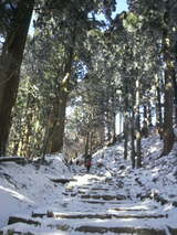 ��ʬ�Σ����餤