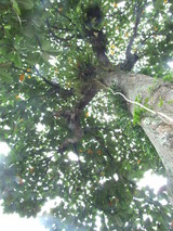 ���פ���